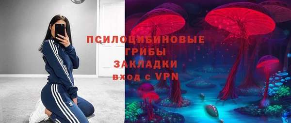 стафф Бородино