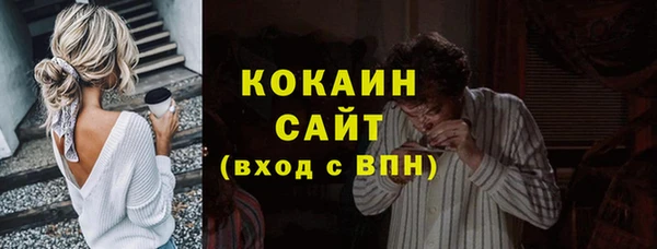 шишки Бронницы