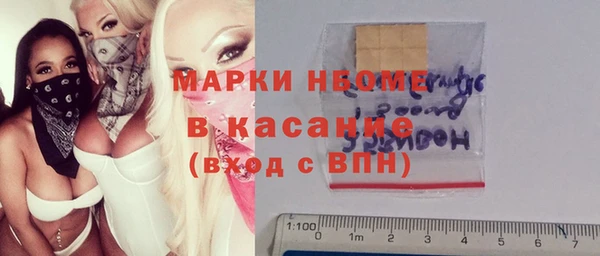 стафф Бородино
