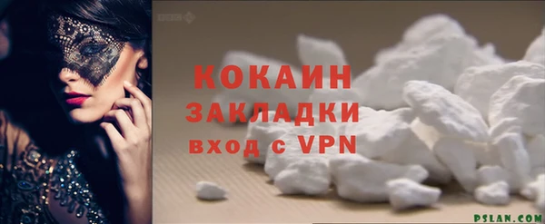 стафф Бородино