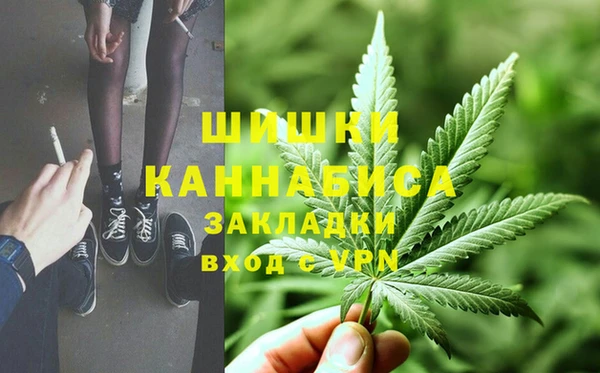 стафф Бородино