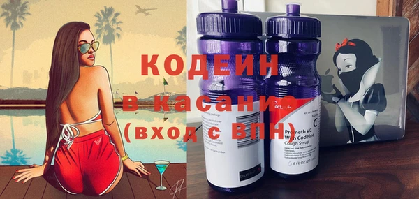 стафф Бородино