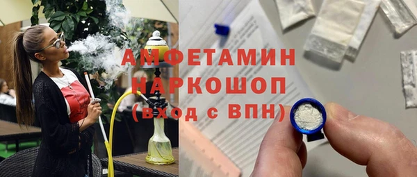 стафф Бородино