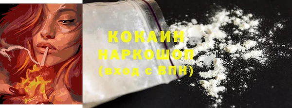 шишки Бронницы
