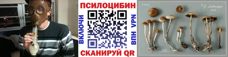 купить наркотики сайты даркнет какой сайт Галлюциногенные грибы MAGIC MUSHROOMS Лодейное Поле omg ссылка